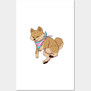 Transgender Pride Shiba Inu Posters and Art